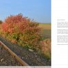 album-02