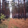 konkurs-fotograficzny-03052