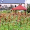 Mała Architektura &raquo; Altana w Dobroszowie Wielkim