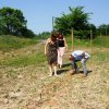 Winnice &raquo; Winnica Kotla 