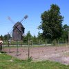 Winnice &raquo; Winnica Lubięcin